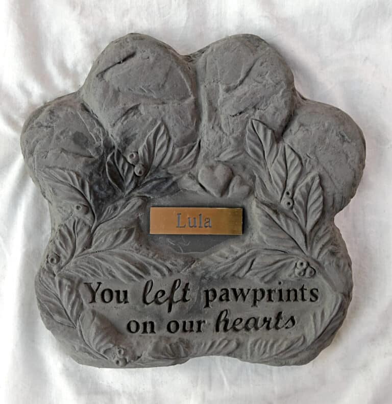 new pawprint