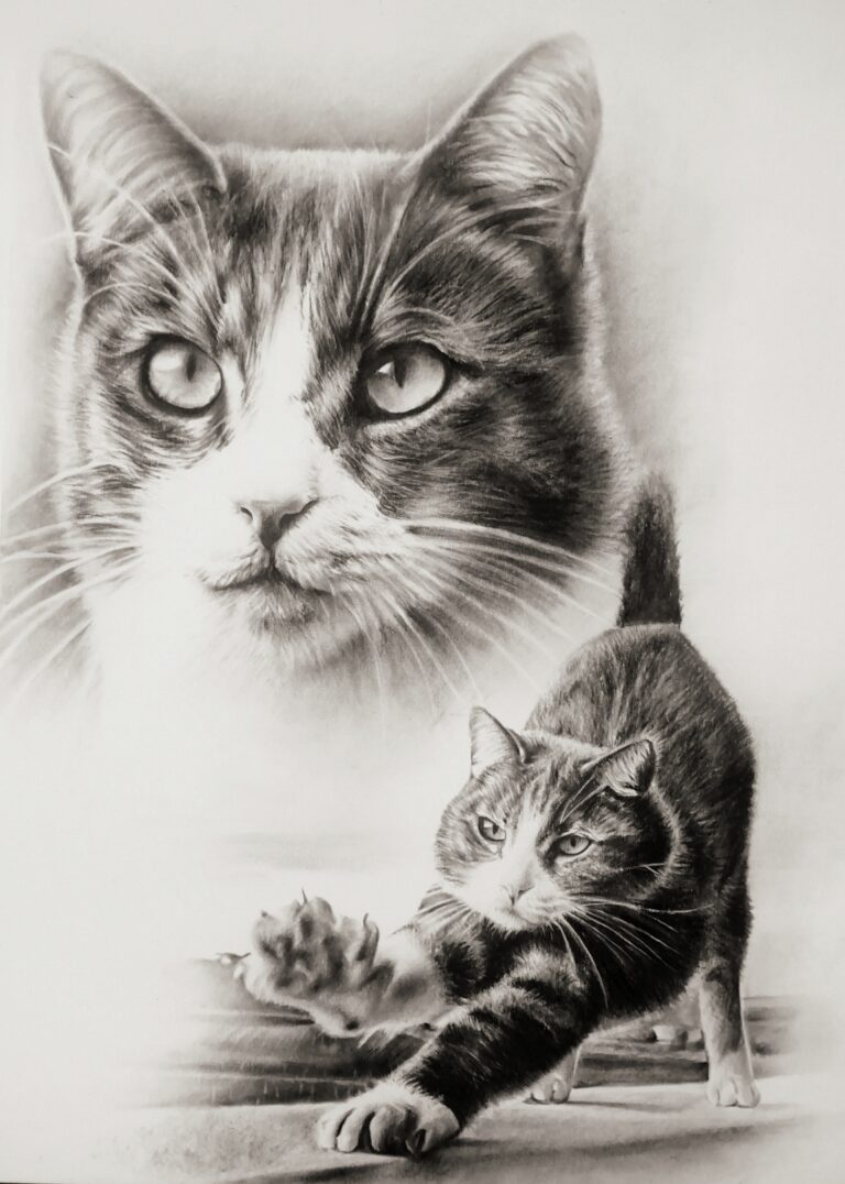 Cat Potrait